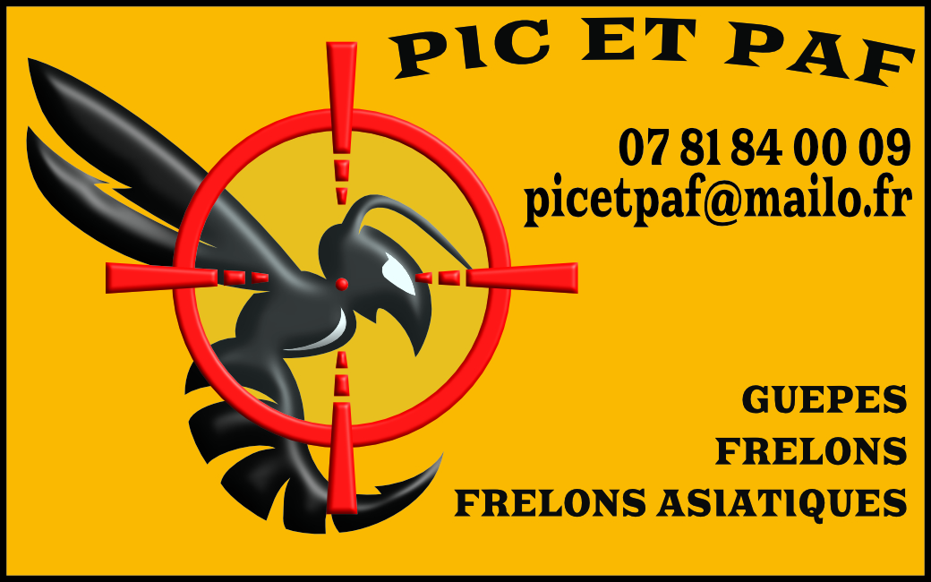 Nid de guêpes traité en toiture